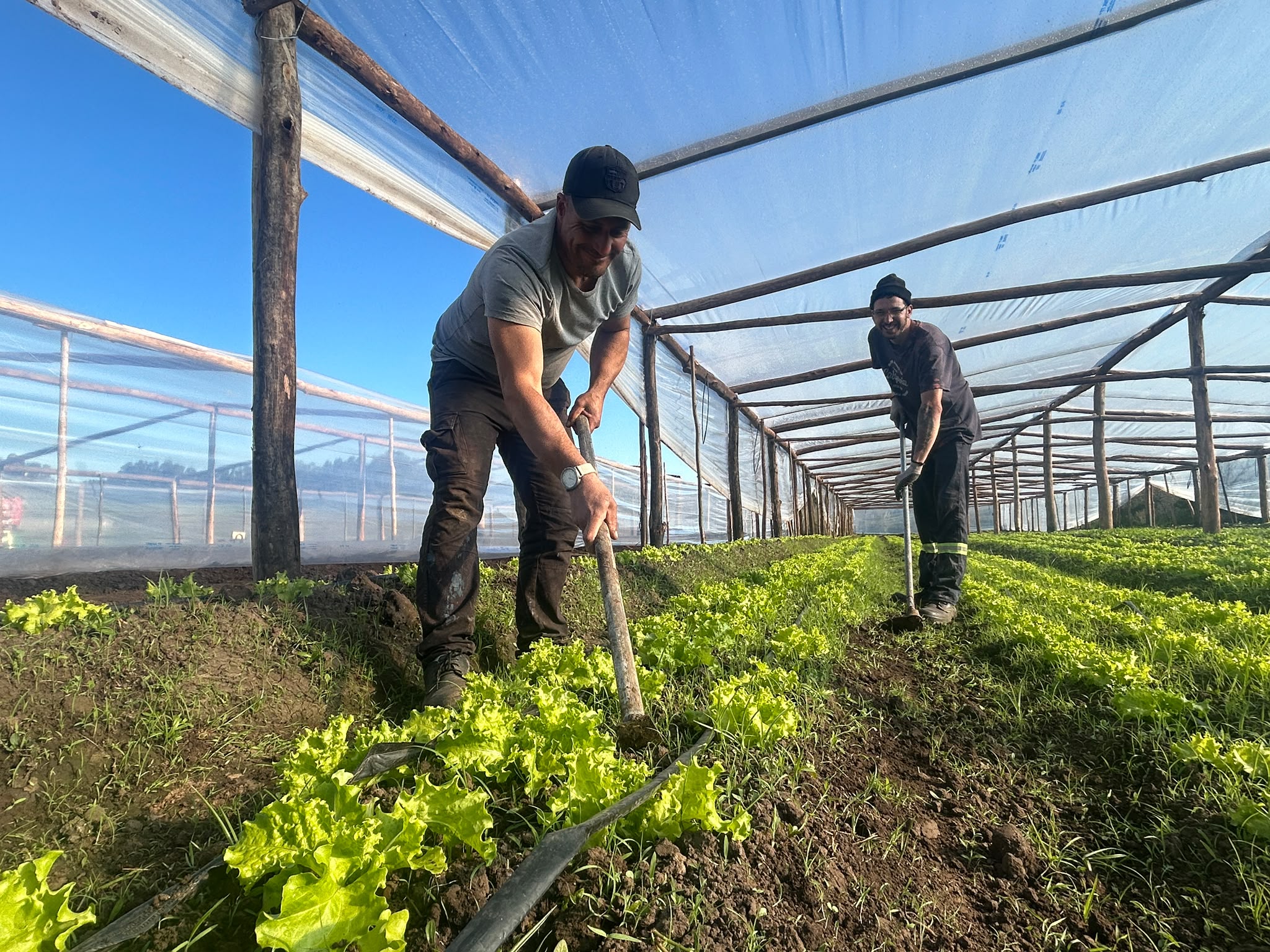 Hogar Beraca Sembrador en Rincón del Cerro
